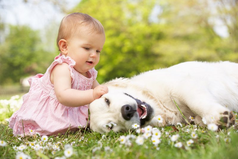 5 Benefits Caring For Pets Offer Young Children - Spanish for fun