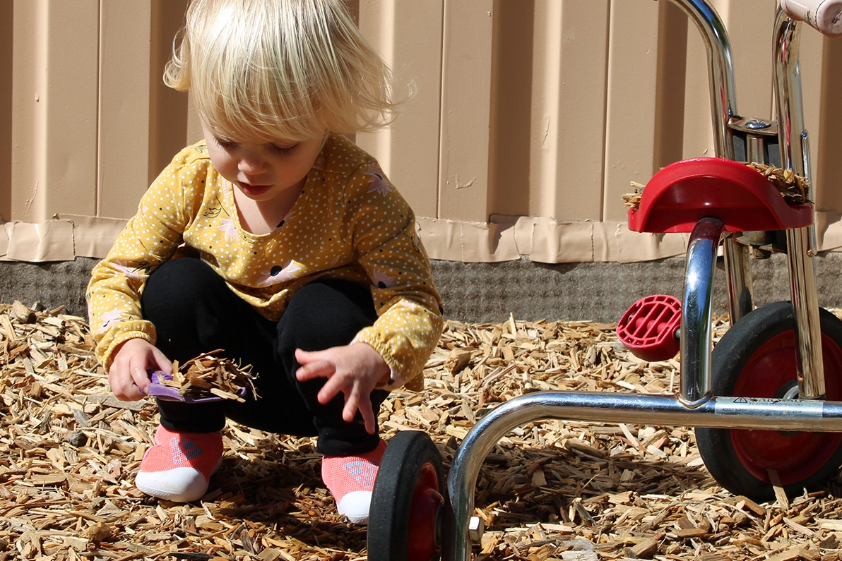 Raleigh Duraleigh daycare SPANISH FOR FUN