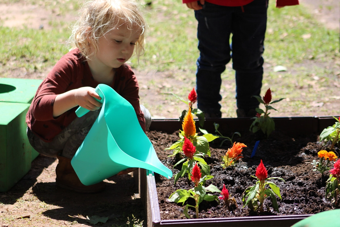 learning about plants -Raleigh Glenwood daycare SPANISH FOR FUN